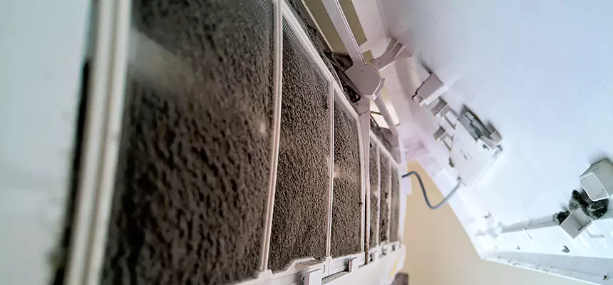 Preventive Air Duct Bacteria Removal in Arlington Heights