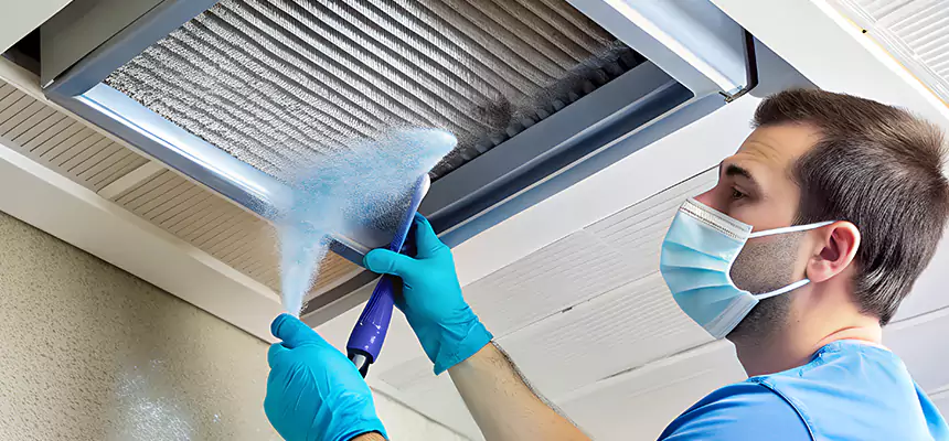 Proactive Dryer Vent & Auxiliary Duct Pollen Cleanup in Arlington Heights, IL