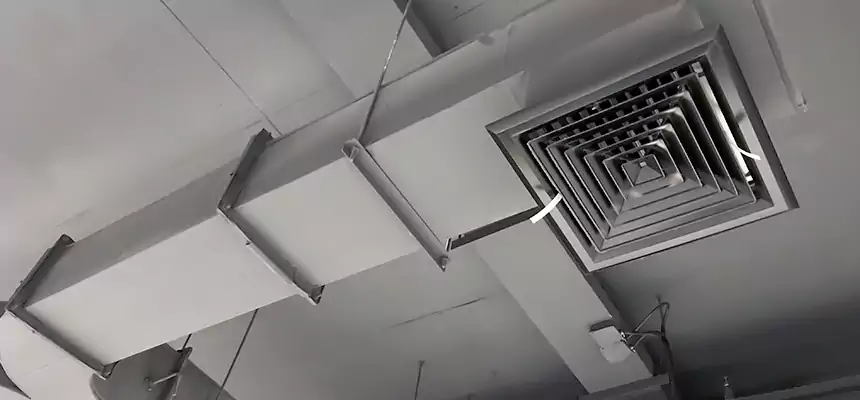 Restorative Allergy Relief Vent Cleaning – Coil, Blower & Housing Detail in Arlington Heights