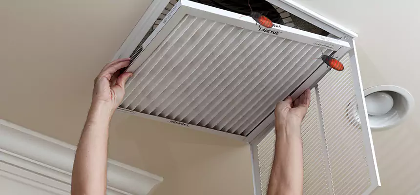 Our Insect Removal from Air Ducts Services in Arlington Heights, IL