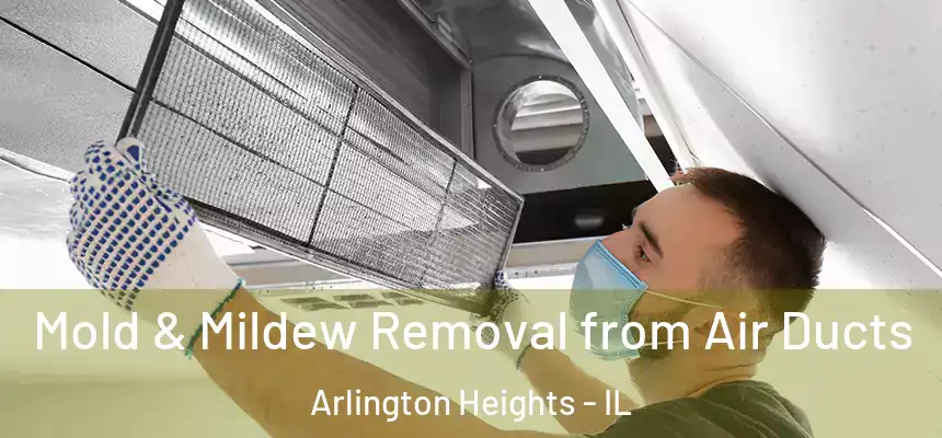  Mold & Mildew Removal from Air Ducts Arlington Heights - IL