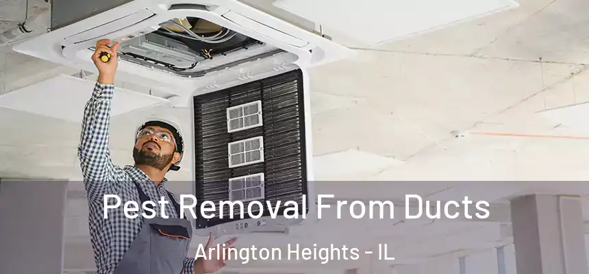  Pest Removal From Ducts Arlington Heights - IL