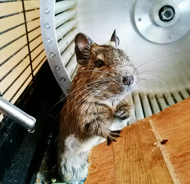 Why Homeowners & Businesses Trust Us Arlington Heights, IL